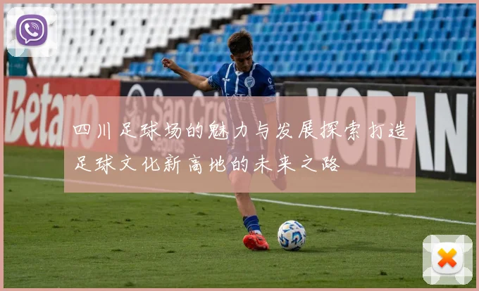 四川足球场的魅力与发展探索打造足球文化新高地的未来之路