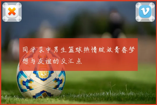 同学录中男生篮球热情绽放青春梦想与友谊的交汇点
