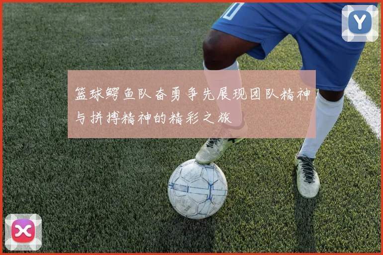 篮球鳄鱼队奋勇争先展现团队精神与拼搏精神的精彩之旅