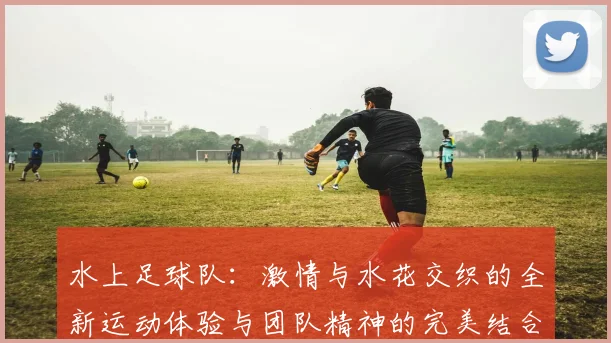 水上足球队：激情与水花交织的全新运动体验与团队精神的完美结合