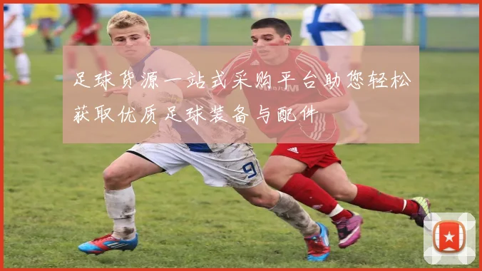 足球货源一站式采购平台助您轻松获取优质足球装备与配件