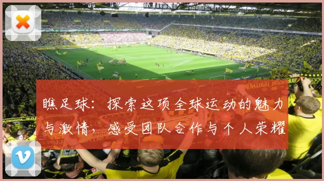 瞧足球：探索这项全球运动的魅力与激情，感受团队合作与个人荣耀的完美结合